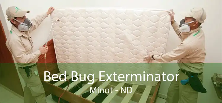 Bed Bug Exterminator Minot - ND