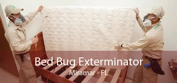 Bed Bug Exterminator Miramar - FL