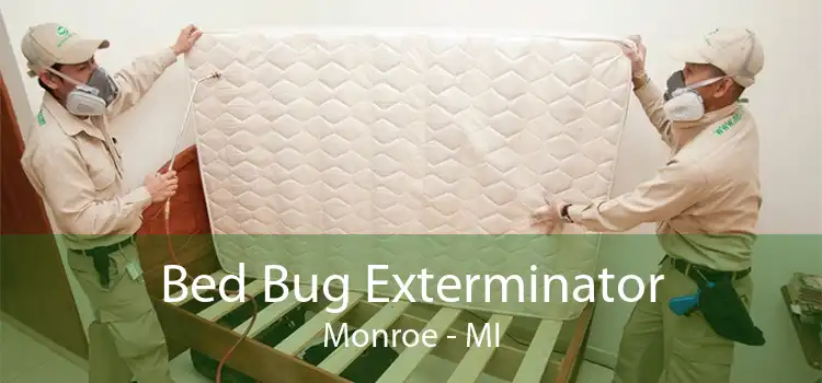 Bed Bug Exterminator Monroe - MI
