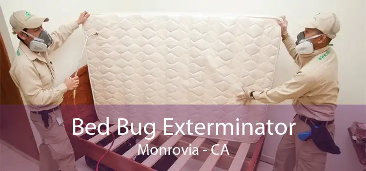 Bed Bug Exterminator Monrovia - CA