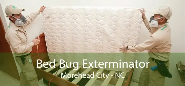 Bed Bug Exterminator Morehead City - NC