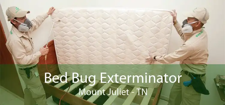 Bed Bug Exterminator Mount Juliet - TN