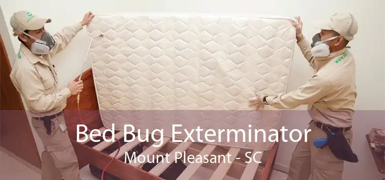 Bed Bug Exterminator Mount Pleasant - SC