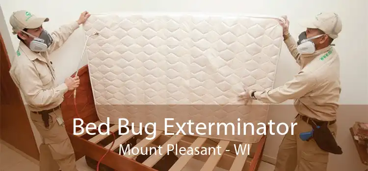 Bed Bug Exterminator Mount Pleasant - WI
