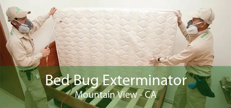 Bed Bug Exterminator Mountain View - CA