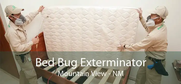 Bed Bug Exterminator Mountain View - NM