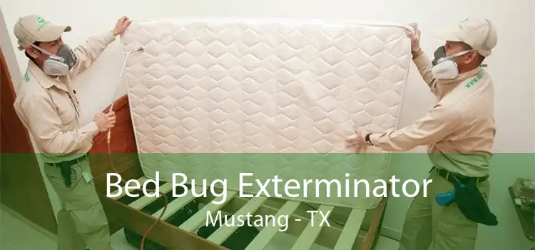 Bed Bug Exterminator Mustang - TX