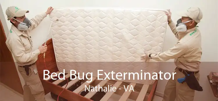 Bed Bug Exterminator Nathalie - VA