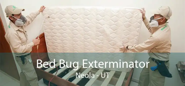Bed Bug Exterminator Neola - UT