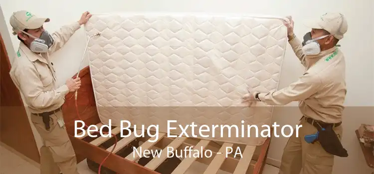 Bed Bug Exterminator New Buffalo - PA