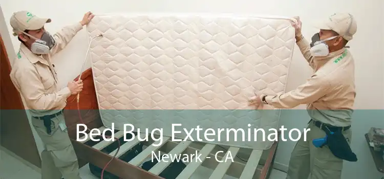 Bed Bug Exterminator Newark - CA