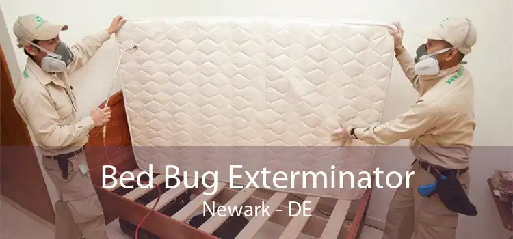 Bed Bug Exterminator Newark - DE