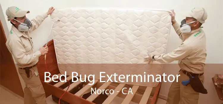 Bed Bug Exterminator Norco - CA