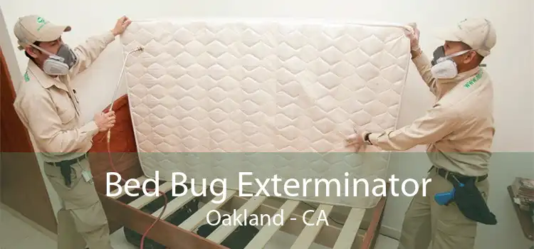 Bed Bug Exterminator Oakland - CA