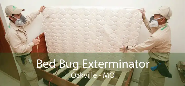 Bed Bug Exterminator Oakville - MO