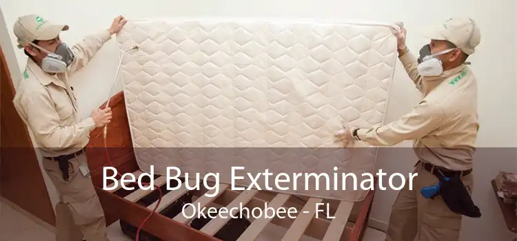 Bed Bug Exterminator Okeechobee - FL