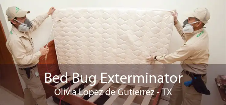Bed Bug Exterminator Olivia Lopez de Gutierrez - TX