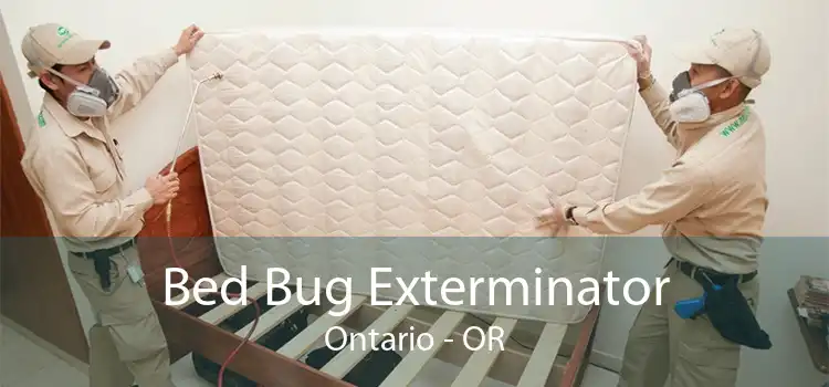 Bed Bug Exterminator Ontario - OR