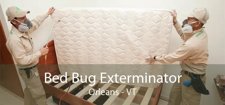 Bed Bug Exterminator Orleans - VT