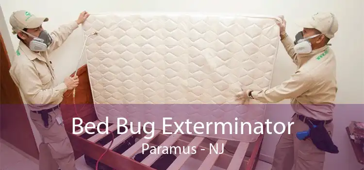 Bed Bug Exterminator Paramus - NJ