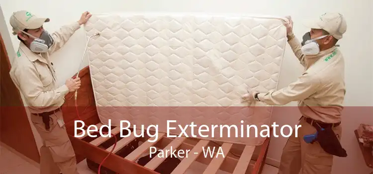 Bed Bug Exterminator Parker - WA