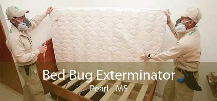 Bed Bug Exterminator Pearl - MS