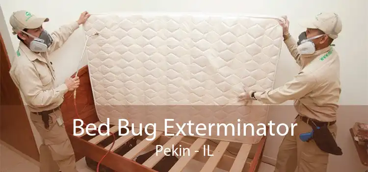 Bed Bug Exterminator Pekin - IL