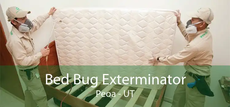 Bed Bug Exterminator Peoa - UT