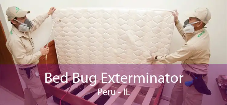 Bed Bug Exterminator Peru - IL