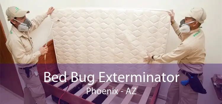 Bed Bug Exterminator Phoenix - AZ
