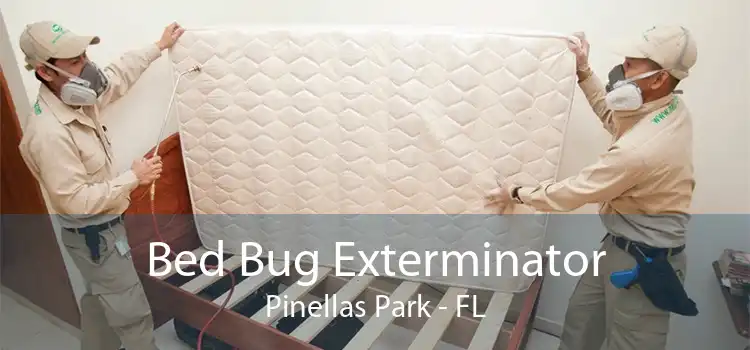 Bed Bug Exterminator Pinellas Park - FL