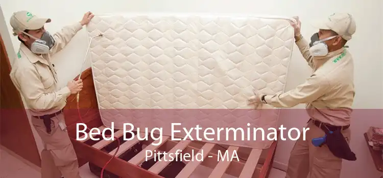 Bed Bug Exterminator Pittsfield - MA