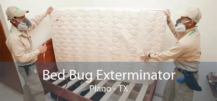 Bed Bug Exterminator Plano - TX