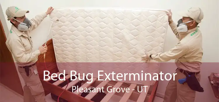Bed Bug Exterminator Pleasant Grove - UT