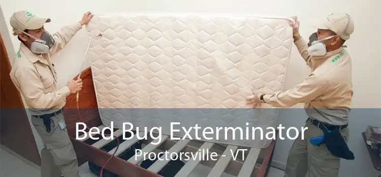 Bed Bug Exterminator Proctorsville - VT