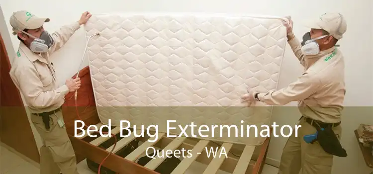 Bed Bug Exterminator Queets - WA