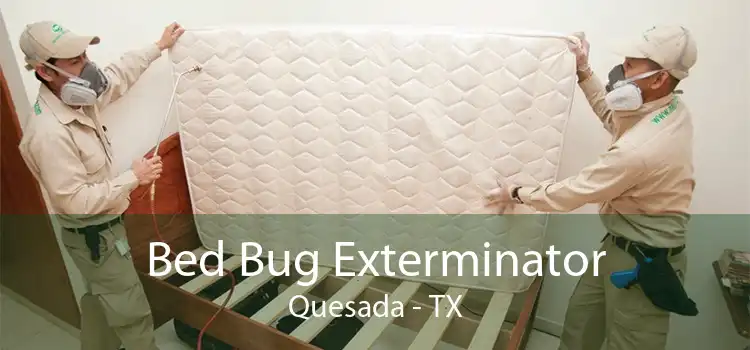 Bed Bug Exterminator Quesada - TX