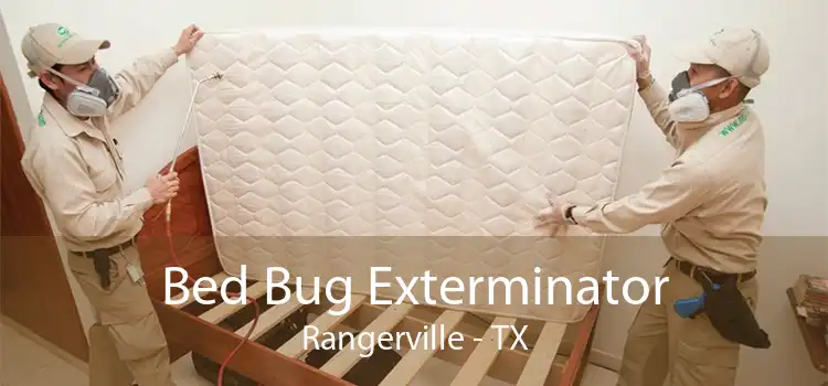 Bed Bug Exterminator Rangerville - TX