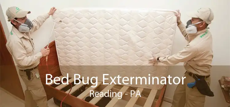 Bed Bug Exterminator Reading - PA