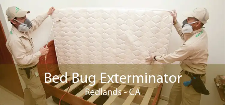 Bed Bug Exterminator Redlands - CA