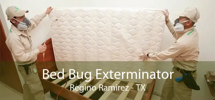 Bed Bug Exterminator Regino Ramirez - TX