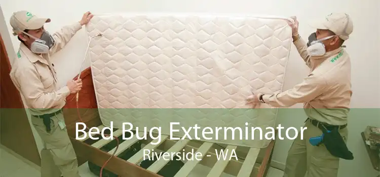Bed Bug Exterminator Riverside - WA