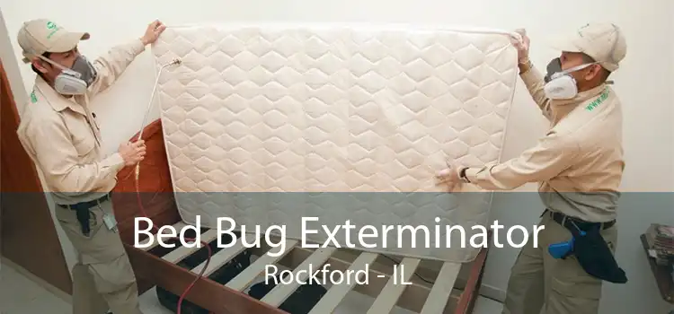 Bed Bug Exterminator Rockford - IL