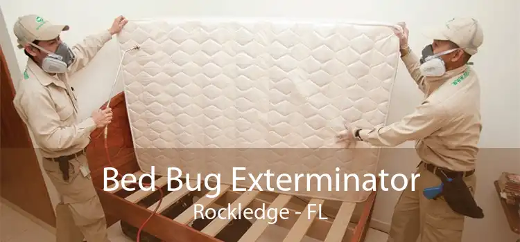 Bed Bug Exterminator Rockledge - FL