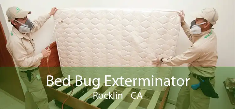 Bed Bug Exterminator Rocklin - CA