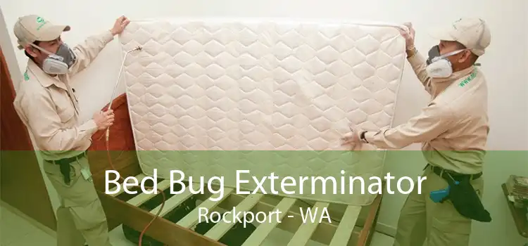 Bed Bug Exterminator Rockport - WA