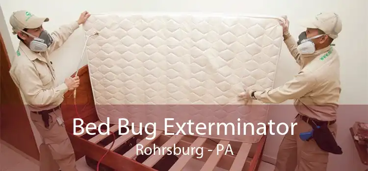Bed Bug Exterminator Rohrsburg - PA