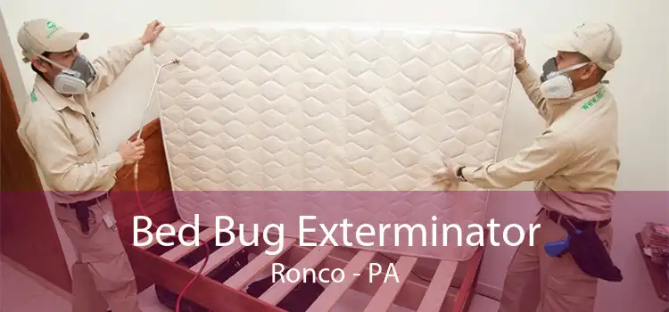 Bed Bug Exterminator Ronco - PA