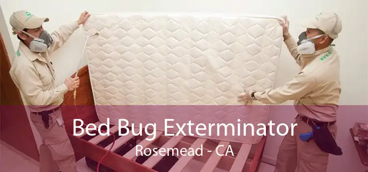 Bed Bug Exterminator Rosemead - CA