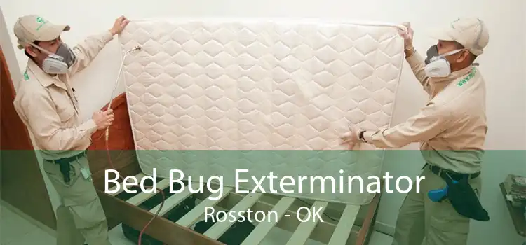 Bed Bug Exterminator Rosston - OK